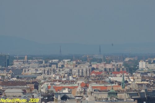DSC_6569.jpg