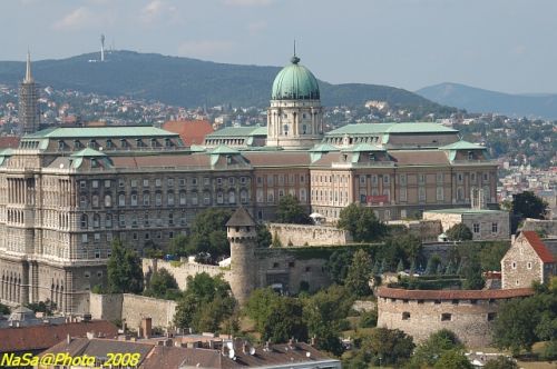 DSC_6570.jpg