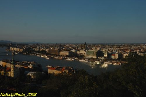 DSC_6624.jpg