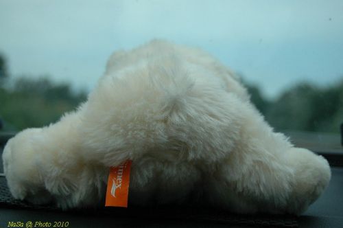 DSC 2364
