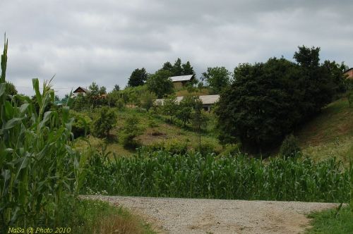 DSC 2417

