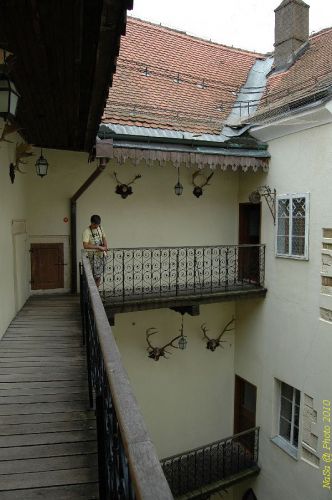 DSC 2458
