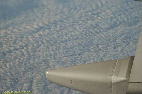dsc_0473.jpg