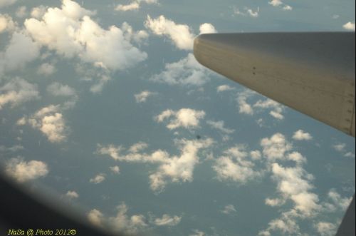 dsc_0479.jpg
