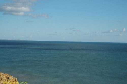 dsc_0549.jpg
