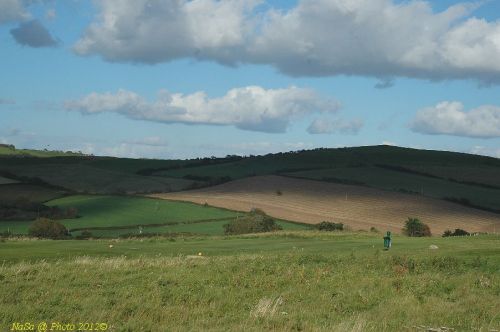 dsc_0551.jpg