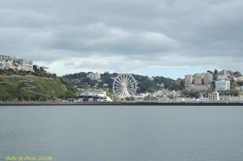 dsc_0597.jpg