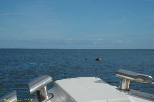 dsc_0683.jpg