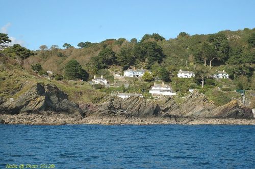 dsc_0689.jpg