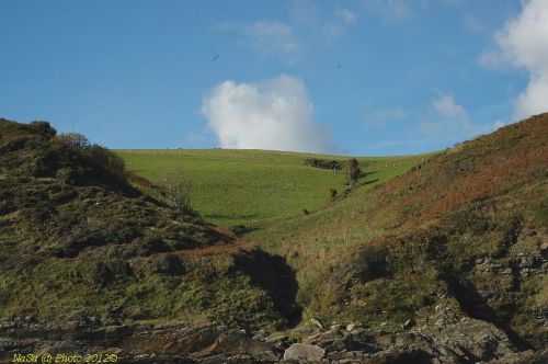 dsc_0716.jpg