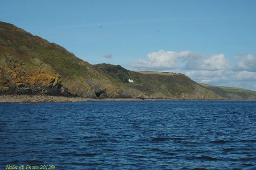 dsc_0717.jpg