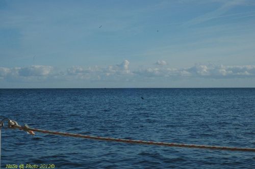 dsc_0718.jpg