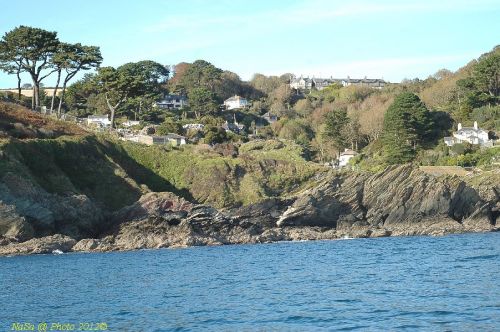 dsc_0733.jpg
