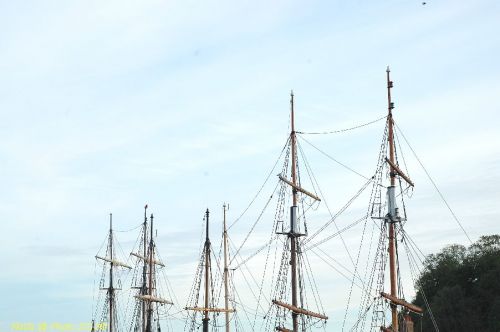 dsc_0768.jpg