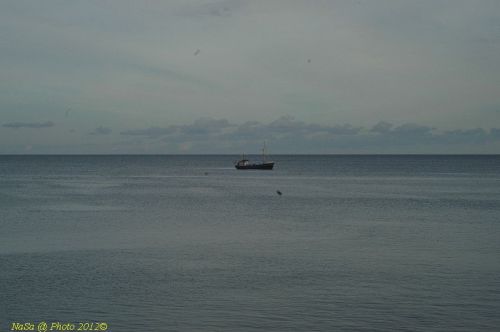 dsc_0782.jpg