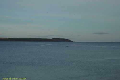 dsc_0783.jpg
