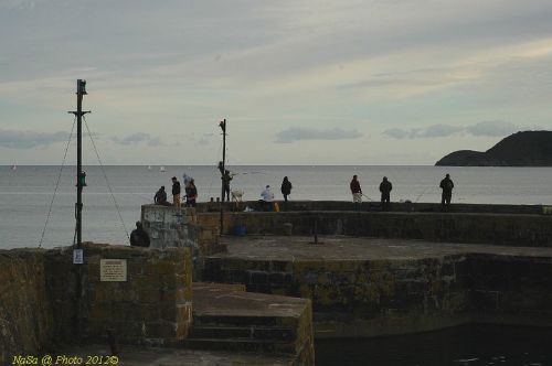 dsc_0791.jpg