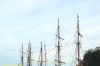 dsc_0768.jpg