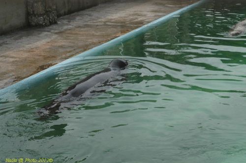 dsc_0837.jpg