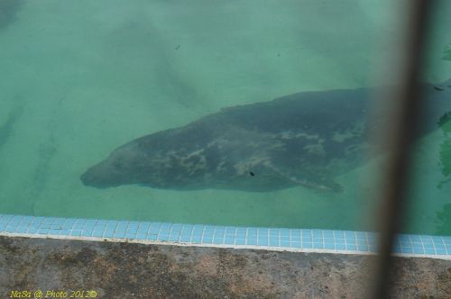dsc_0838.jpg