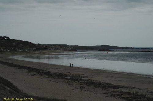 dsc_0852.jpg