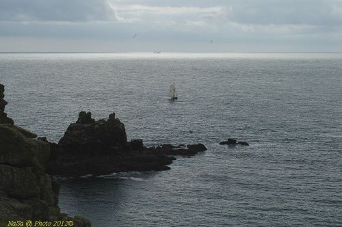 dsc_0870.jpg