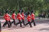 dsc_0975.jpg