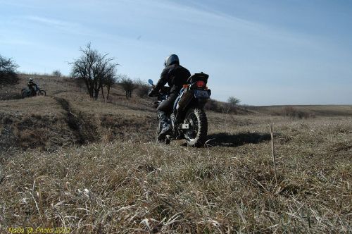 DSC_8904.JPG