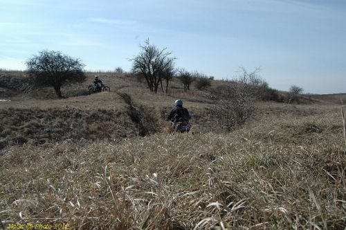 DSC_8905.JPG