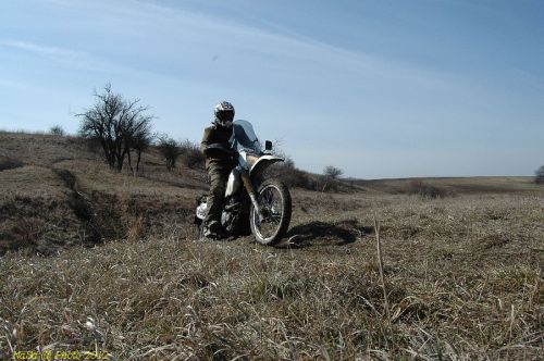 DSC_8906.JPG