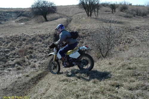DSC_8918.JPG