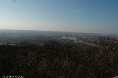 DSC_8993.JPG