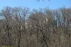 DSC_8979.JPG