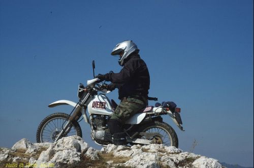 dsc_0333.jpg