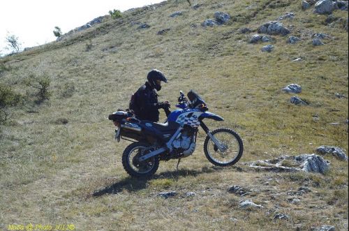 dsc_0344.jpg