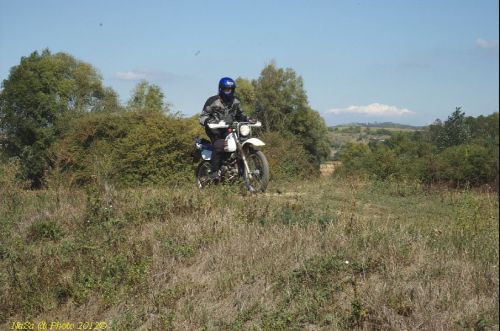 dsc_0353.jpg