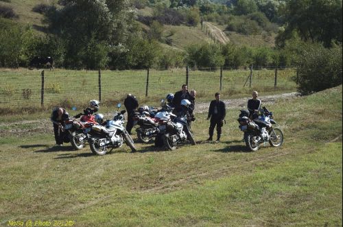 dsc_0354.jpg