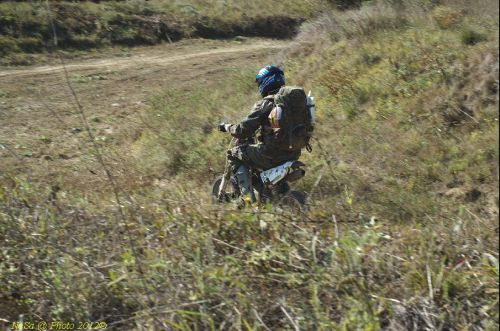 dsc_0358.jpg