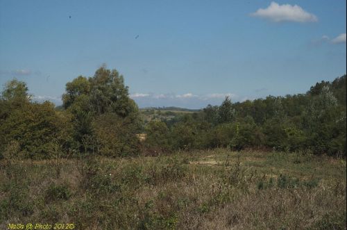 dsc_0388.jpg