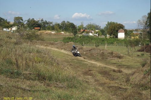 dsc_0390.jpg