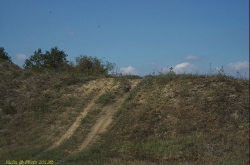 dsc_0395.jpg