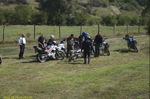 dsc_0398.jpg