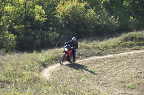 dsc_0402.jpg