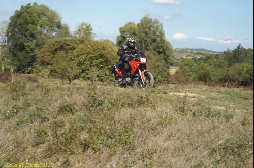 dsc_0404.jpg