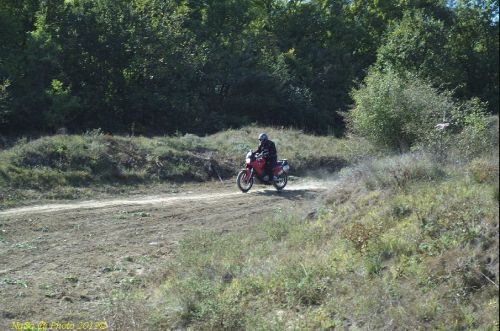 dsc_0412.jpg