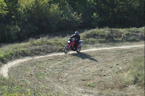 dsc_0413.jpg