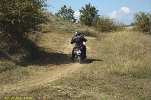 dsc_0414.jpg