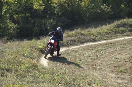 dsc_0427.jpg
