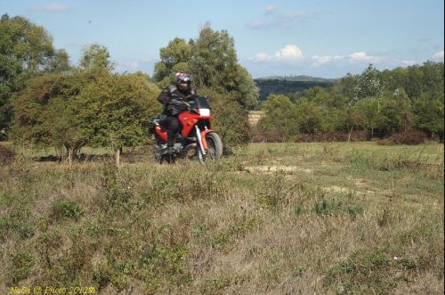 dsc_0429.jpg