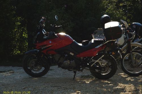 dsc_0441.jpg